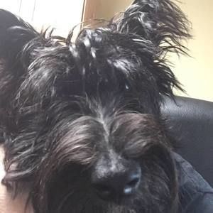 Meet your Posher, Karen